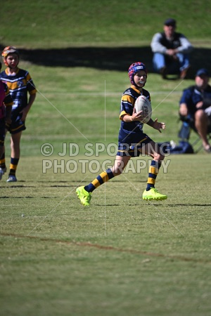 HGH_3428.jpg
