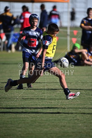HGH_0647.jpg