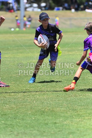 PET_5412.jpg