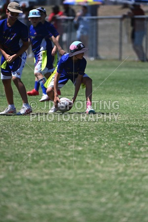 MCB_0203.jpg