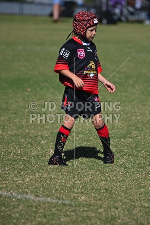 ACU_1124.jpg