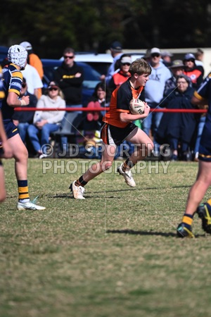 SIM_1080.jpg